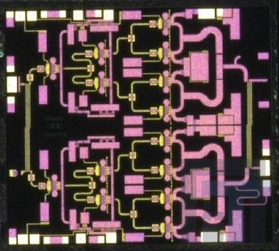 TGA2595 РЧ-усилитель 27-5-31GHz GaN 9W Gain 23dB PAE 24%