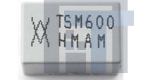 TSM600-250F-RA-2 Восстанавливаемые предохранители - PPTC 250V .250A-HD 3A MAX (R)