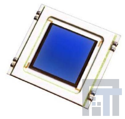 DL400-7-CERSMDG Фотодиоды 400mm squared PSD PIN Photodiode