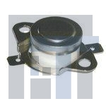 2450RG-81380053 Термореле COMMERCIAL THERMAL