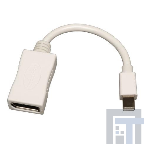 P139-06N-DP Соединители HDMI, Displayport и DVI  Tripp Lite Mini Displayport to Displayport Adapter Mini DP Male to DP Female