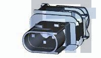 2-1703839-1 Автомобильные разъемы 2POS, TAB 2.8X0.8, TAB HSG, ASSY