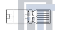 1393682-1 РЧ соединители / Коаксиальные соединители C42334A 75A 2 KABELSTECKER