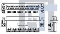 5750714-1 Стандартные соединители D-Sub  31 MSFL RCPT RA 590 (FM,BL,LP)