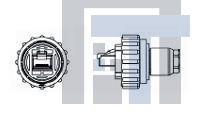 1546876-2 Модульные соединители / соединители Ethernet Strand Wire Plug Kit Unshielded